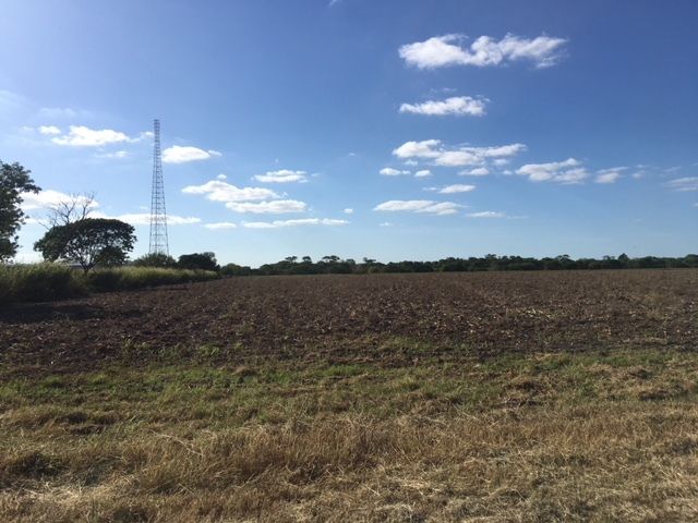 Raymondville Expressway Land: 140 N Expressway 77, Raymondville, TX 78580